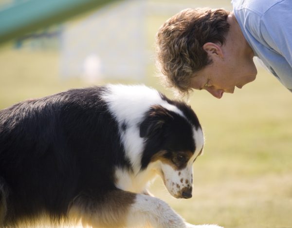 CanineShield Flea & Tick Spray